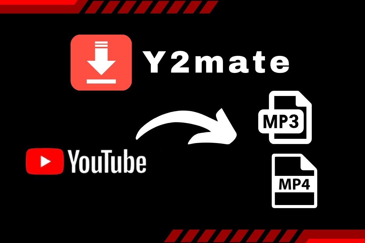 Y2Mate | Download Videos For Free
